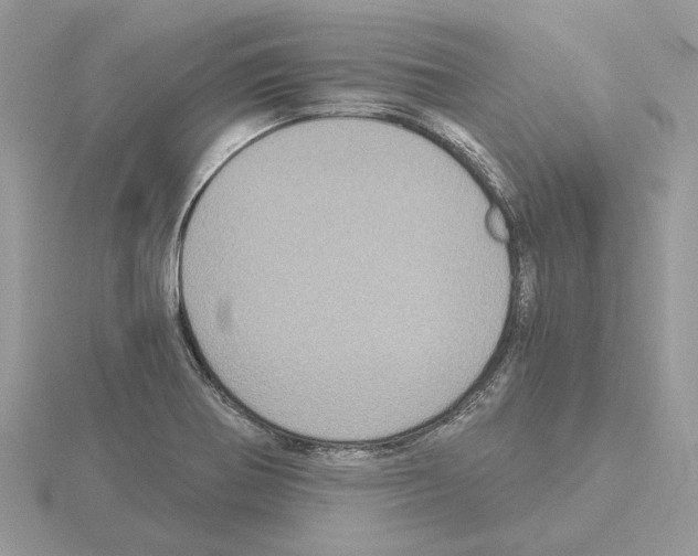 X0000115041370200912071100