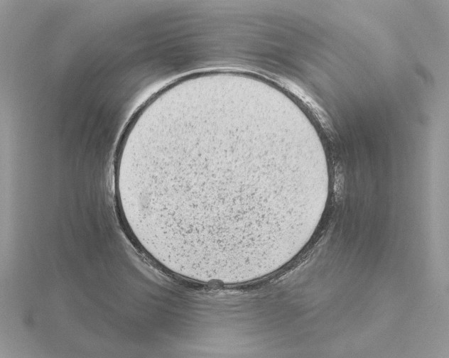 X0000115041372200912071100