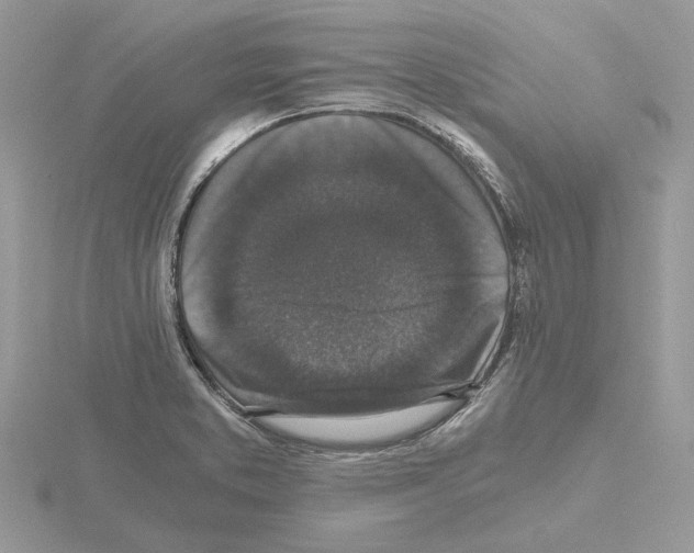 X0000115041373200912071100