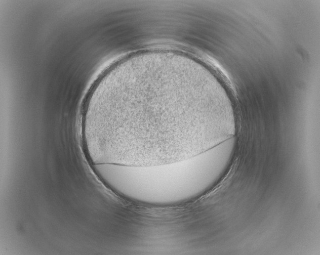 X0000115041376200912071100