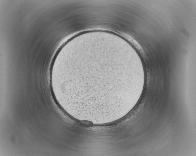 X0000115041380200912071100