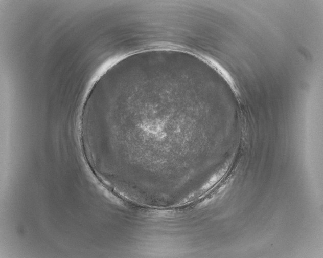 X0000115041381200912071100