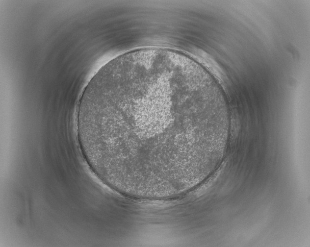 X0000115041382200912071100