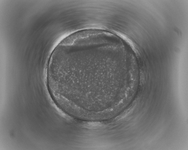 X0000115041383200912071100