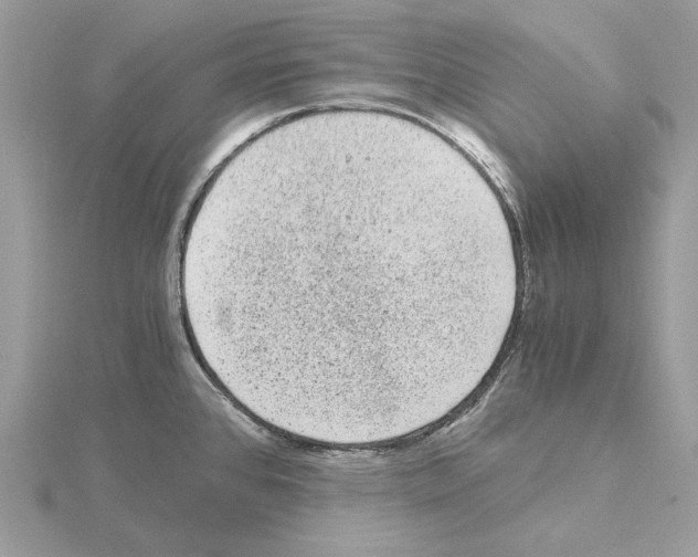 X0000115041384200912071100