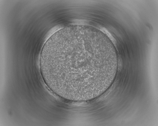 X0000115041386200912071100