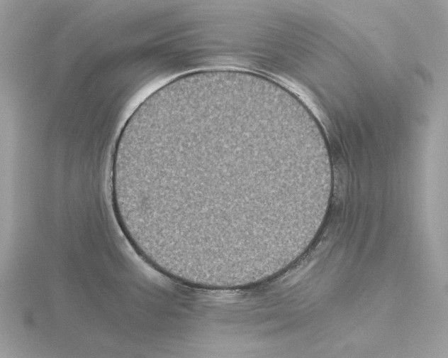 X0000115041387200912071100