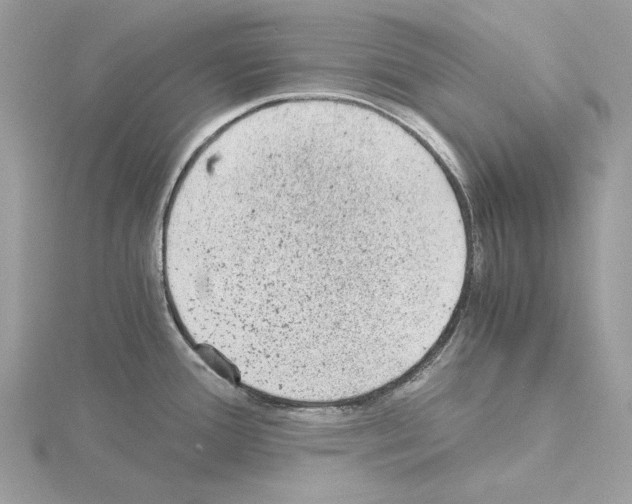 X0000115041388200912071100