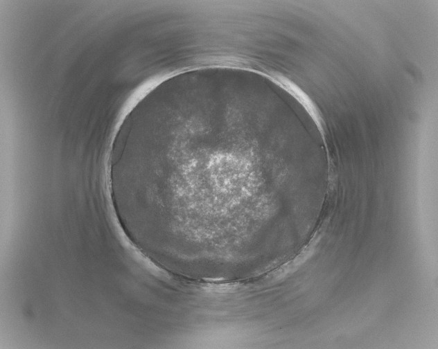 X0000115041389200912071100