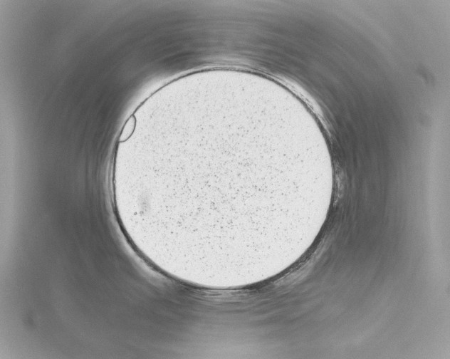 X0000115041391200912071100