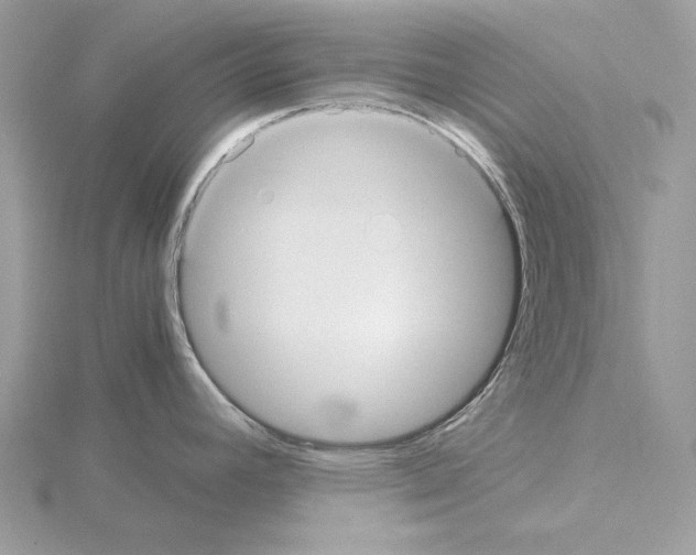 X0000115041392200912071100