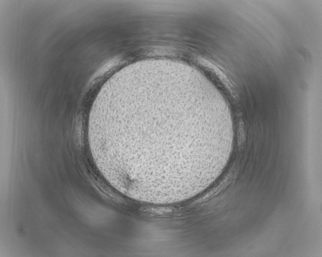 X0000115041403200912071059