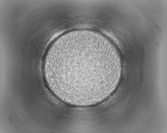 X0000115041404200912071059