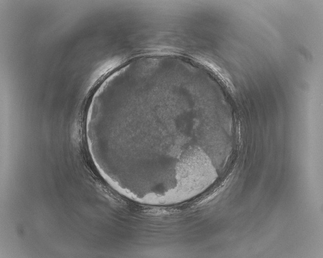 X0000115041405200912071059