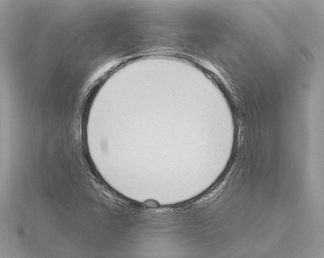 X0000115041406200912071059