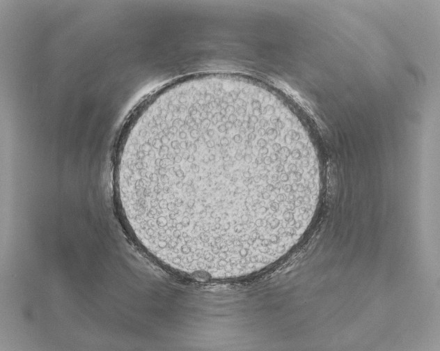 X0000115041408200912071059