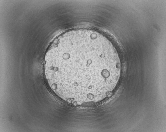 X0000115041409200912071059