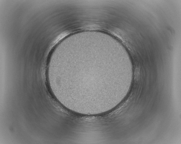 X0000115041410200912071059