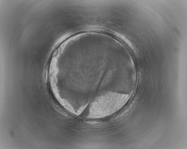 X0000115041413200912071100