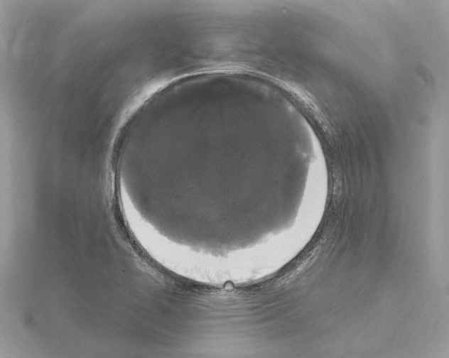 X0000115041414200912071100