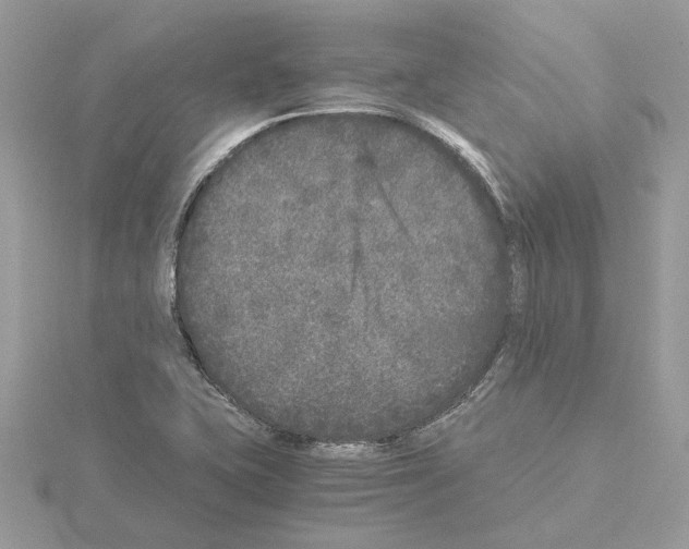 X0000115041415200912071100