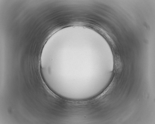 X0000115041417200912071100