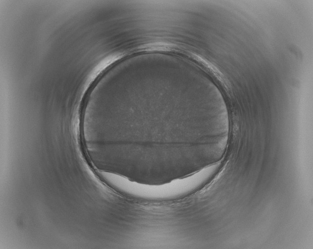 X0000115041418200912071100