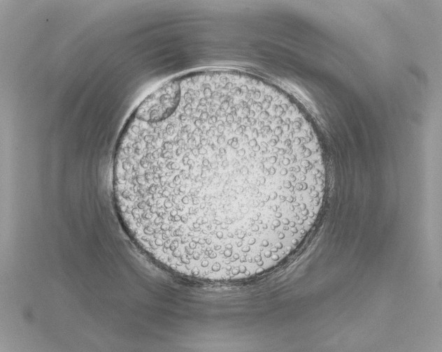 X0000115041420200912071100