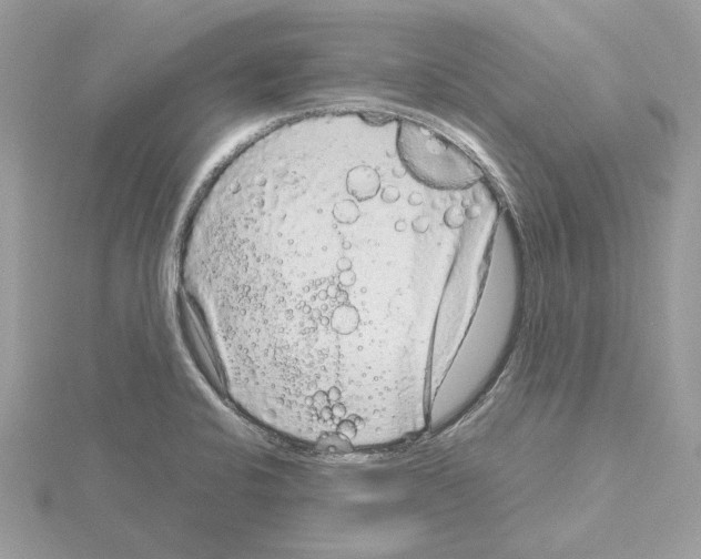 X0000115041424200912071100