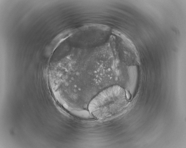 X0000115041425200912071100