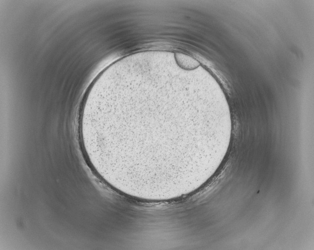 X0000115041426200912071100