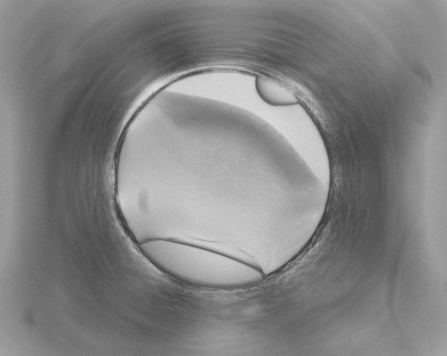 X0000115041428200912071100