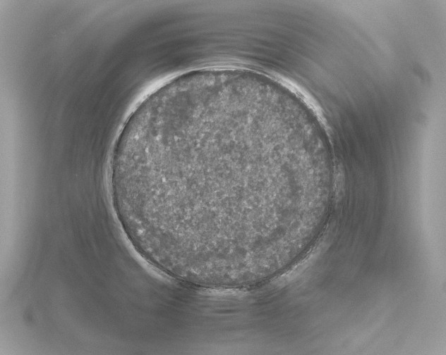 X0000115041429200912071100