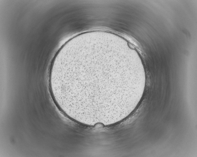 X0000115041430200912071100