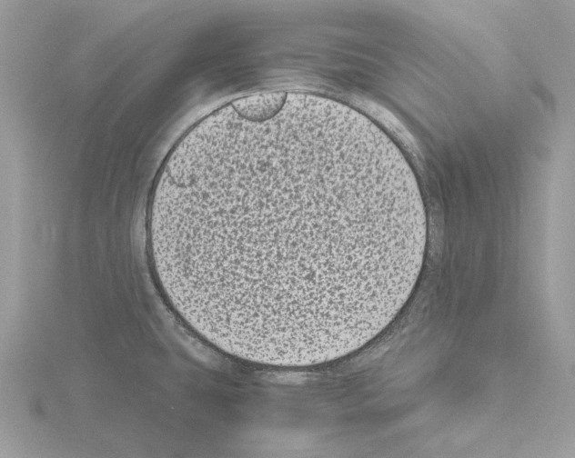 X0000115041431200912071100