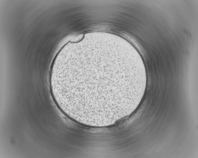 X0000115041434200912071100