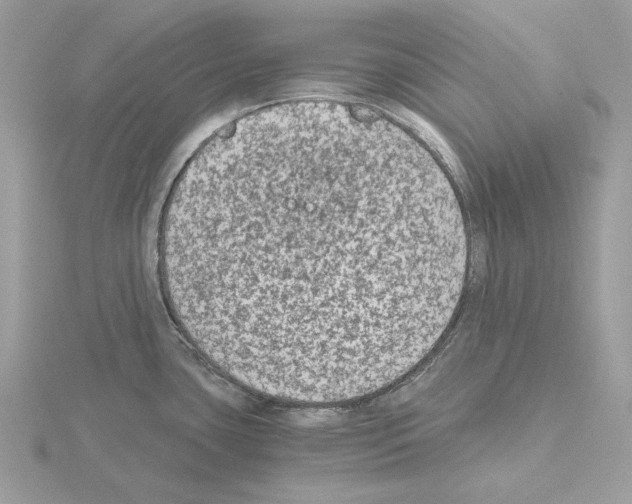 X0000115041435200912071100