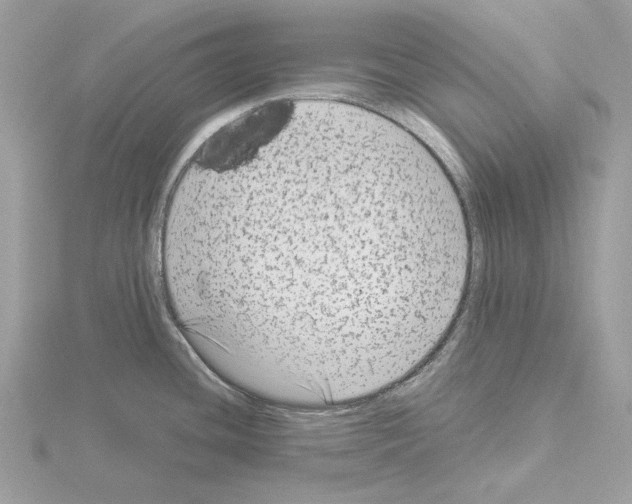 X0000115041436200912071100