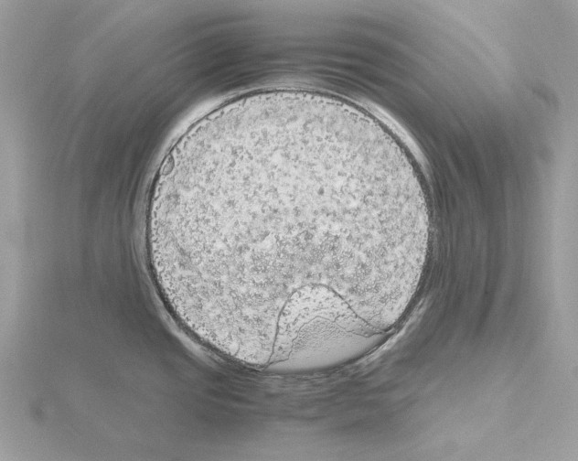 X0000115041437200912071100