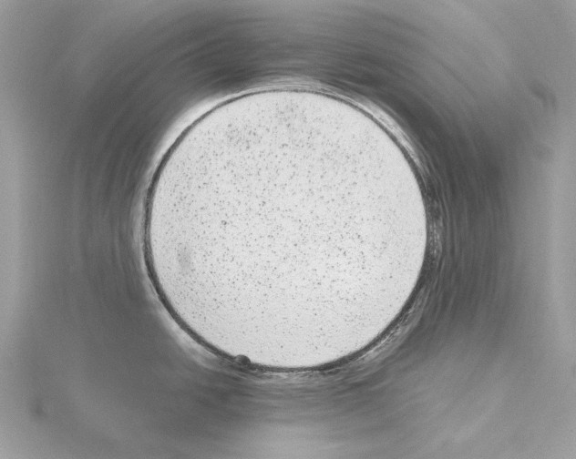 X0000115041438200912071100