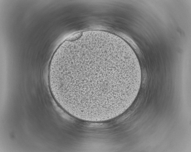 X0000115041439200912071100