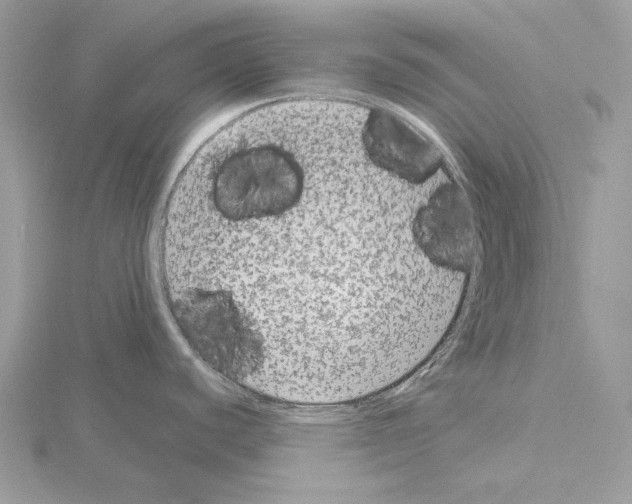 X0000115041440200912071100