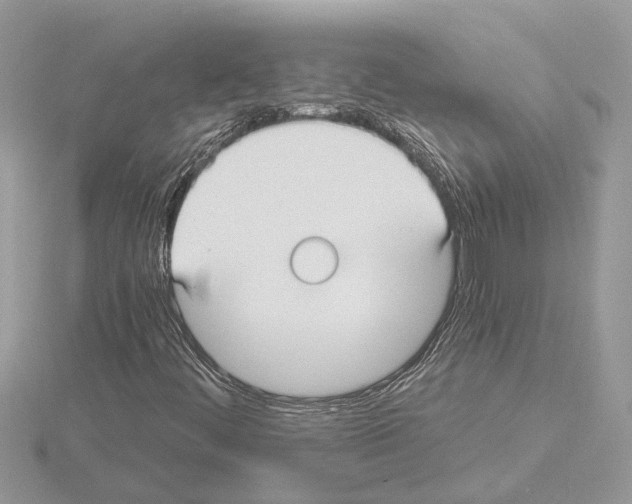 X0000115041444200912071059