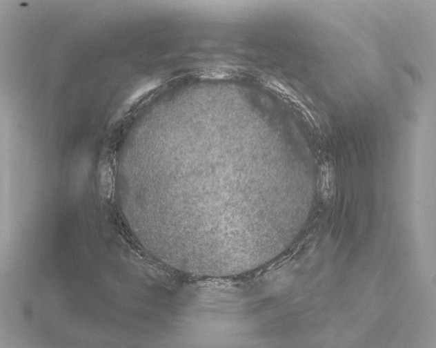 X0000115041446200912071059