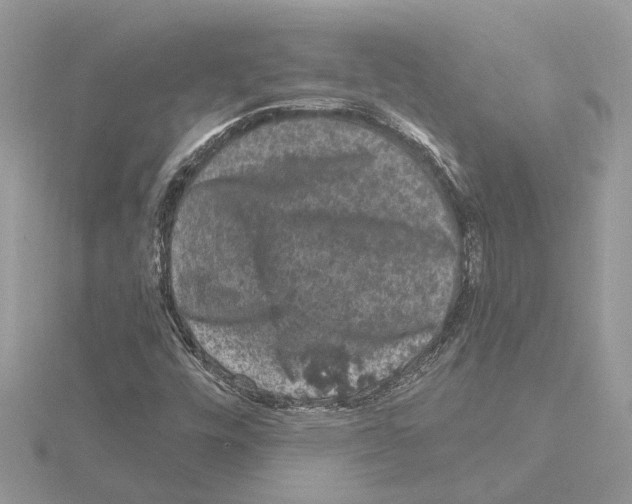 X0000115041448200912071059