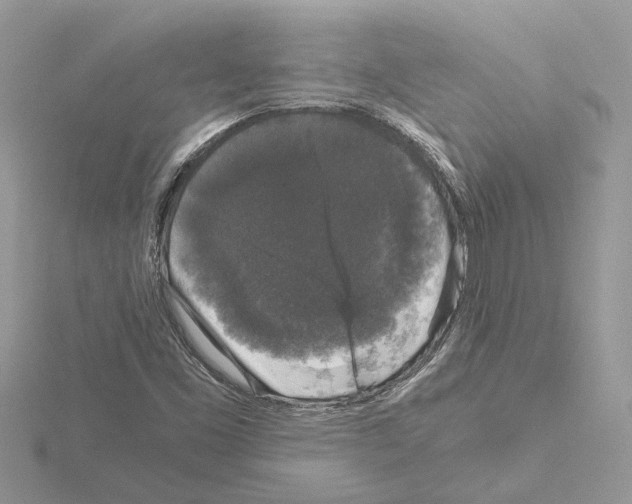 X0000115041453200912071059