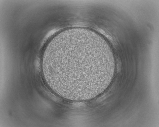 X0000115041454200912071059