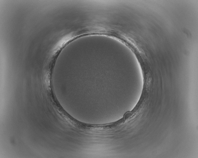 X0000115041455200912071059