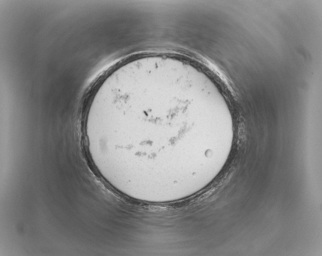 X0000115041456200912071059