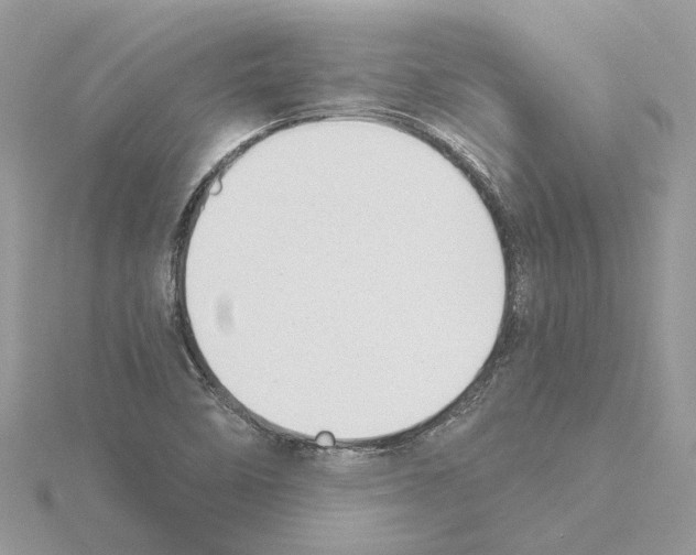 X0000115041458200912071059